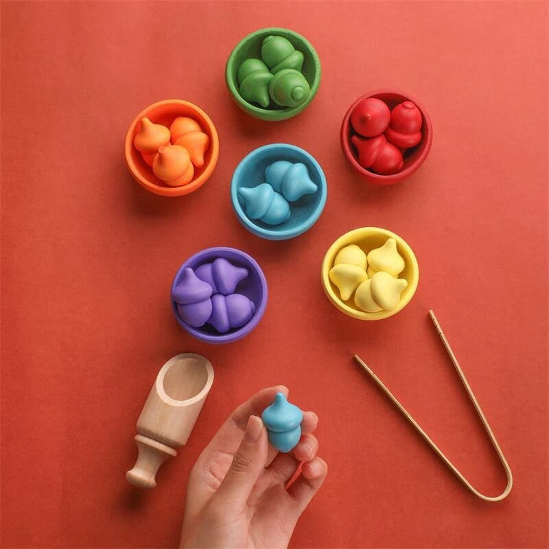 Montessori Acorn Sorting Toy